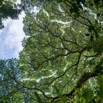 Photo taken by Jeffrey B