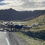 Photo taken by Sharon S