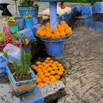 Photo taken by Brenda J