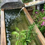 Photo taken by Leslie K