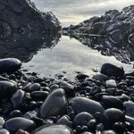 Photo taken by Sharnise H