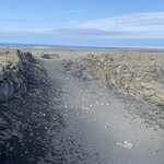 Photo taken by Christy L