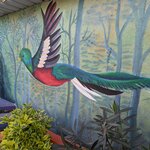 Photo taken by Denise M