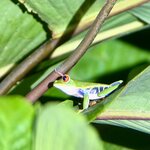 Photo taken by Morton A