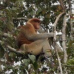 Photo taken by Rob C