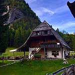 Photo taken by Dianne W