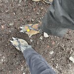 Photo taken by Felicia L