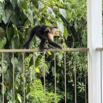 Photo taken by Randy H