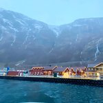 Photo taken by sheena h