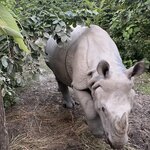 Photo taken by Dee M