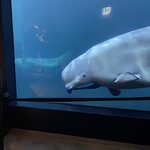 Photo taken by Janice R