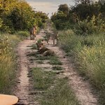 Photo taken by Crystall P