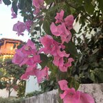 Photo taken by Sabrina S