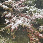 Photo taken by Terry M