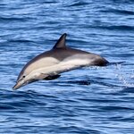 Photo taken by Tom L