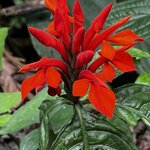 Photo taken by Martin L