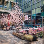 Photo taken by Jennifer E