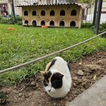 Photo taken by Mariah M