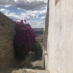 Photo taken by Russ K