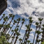 Photo taken by Terrence Y