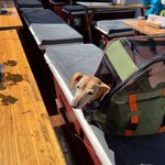 Photo taken by Krissy S