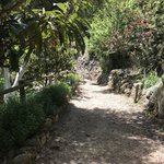 Photo taken by Victoria P