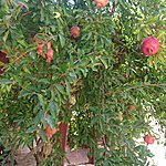 Photo taken by Julienne S