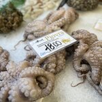 Photo taken by Amanda F