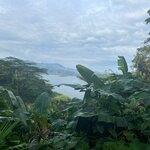 Photo taken by Joyce C