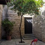 Photo taken by Jason C