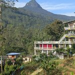 Photo taken by Randall C