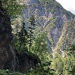 Photo taken by Cindy w