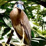 Photo taken by KLAUS A