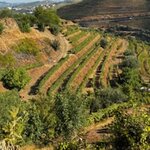 Photo taken by Shelley H