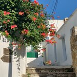 Photo taken by William Z