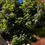 Photo taken by Dee C