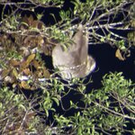 Photo taken by Carrie N