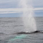 Photo taken by Mark Z