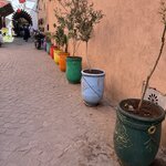 Photo taken by Mary Kate C