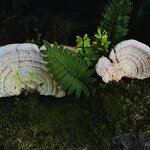 Photo taken by Mary D