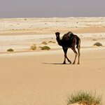 Photo taken by Kim M