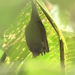 Photo taken by Cindy S