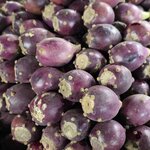 Photo taken by Shelley H