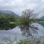 Photo taken by Tanya G