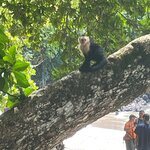 Photo taken by Erna P