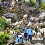 Photo taken by Tyler W