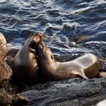 Photo taken by Joseph P