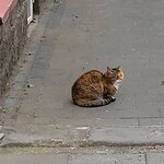 Photo taken by Gary B