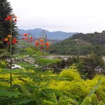 Photo taken by Claudia S