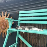 Photo taken by Imogen E